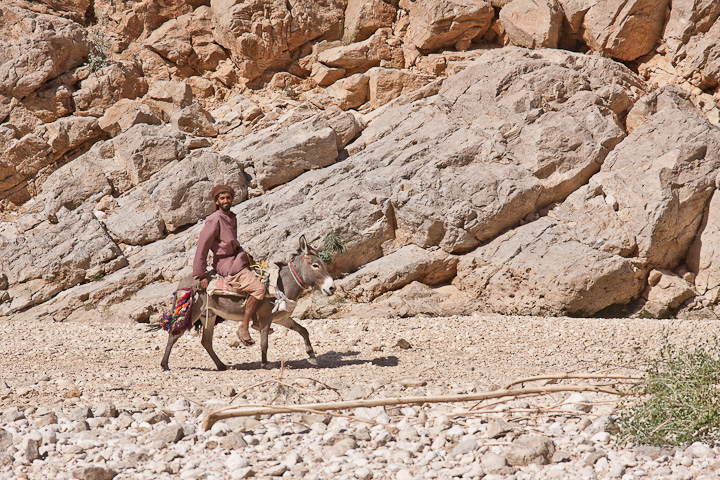 Iiih-Aaaahhhh, Der Omani treibt seinen aus Leibeskräften brüllenden Esel durch das Wadi